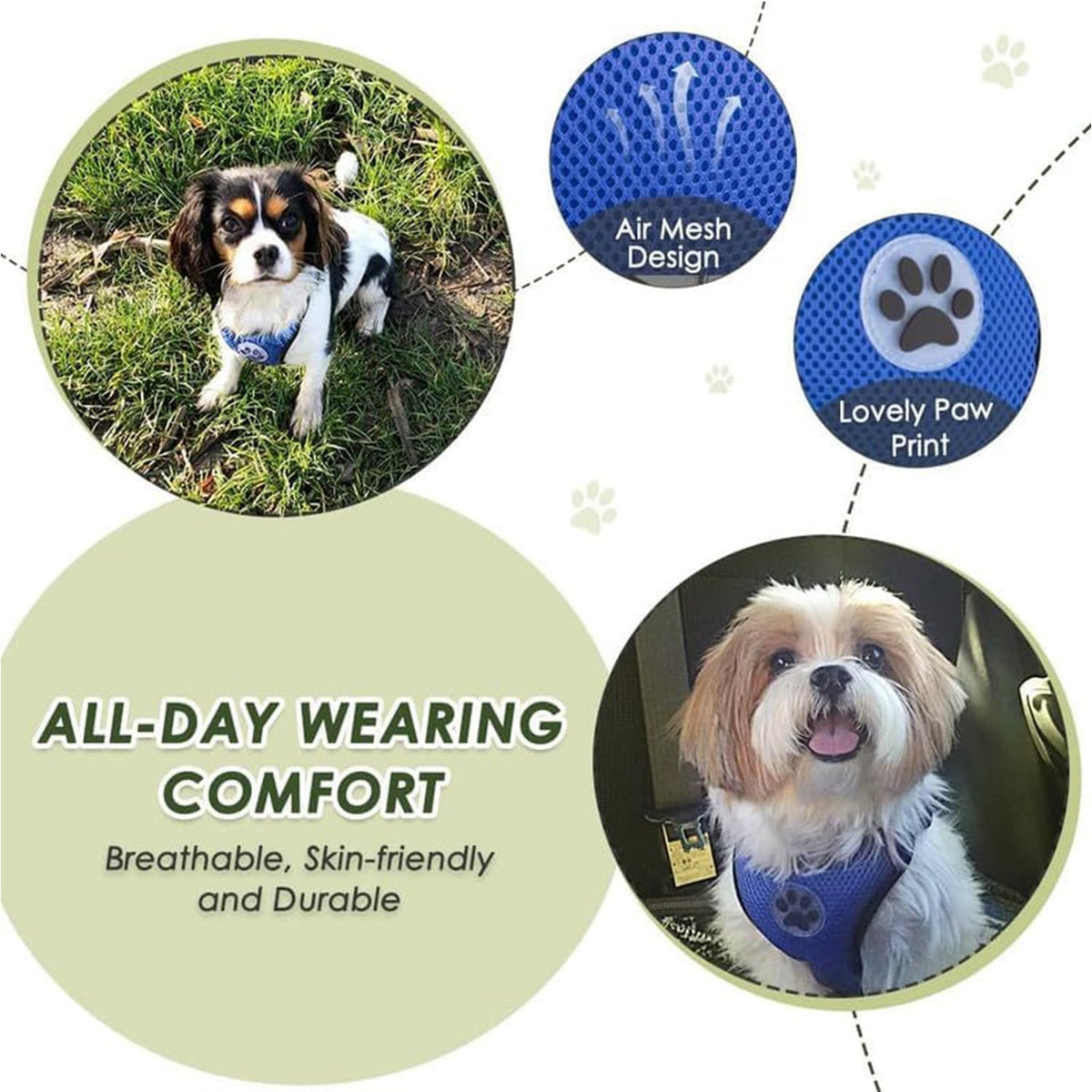 Dog Car Harness and Seat Belt Set with 2-in-1 Buckle, Size M