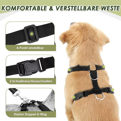 Dog Car Harness and Seat Belt Set with 2-in-1 Buckle, Size M