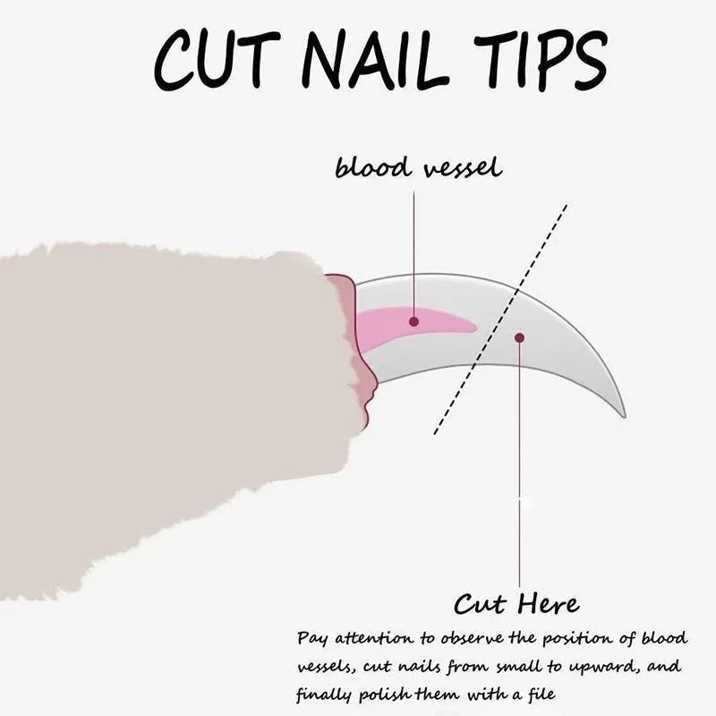 Professional Pet Nail Clipper for Dogs and Cats - Grooming Supplies for Claw Care