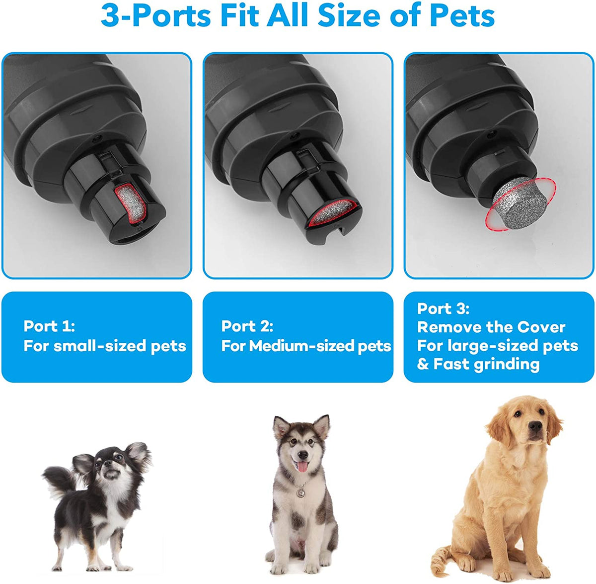 Dog Nail Grinder with Dual LED Lights - Advanced 2-Speed Electric Nail Trimmer for Professional Grooming of Small, Medium, and Large Dogs and Cats (Grey)