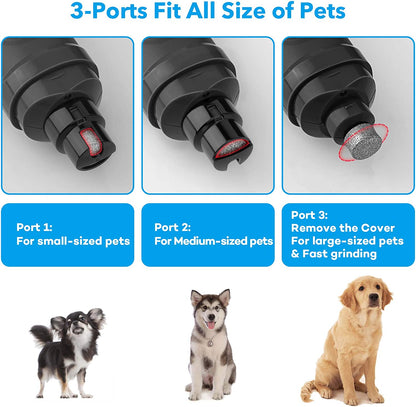 Dog Nail Grinder with Dual LED Lights - Advanced 2-Speed Electric Nail Trimmer for Professional Grooming of Small, Medium, and Large Dogs and Cats (Grey)