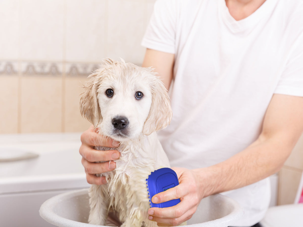 Dog Bath Scrubber and Grooming Brush with Non-Slip Grip - Blue Rubber Curry Comb