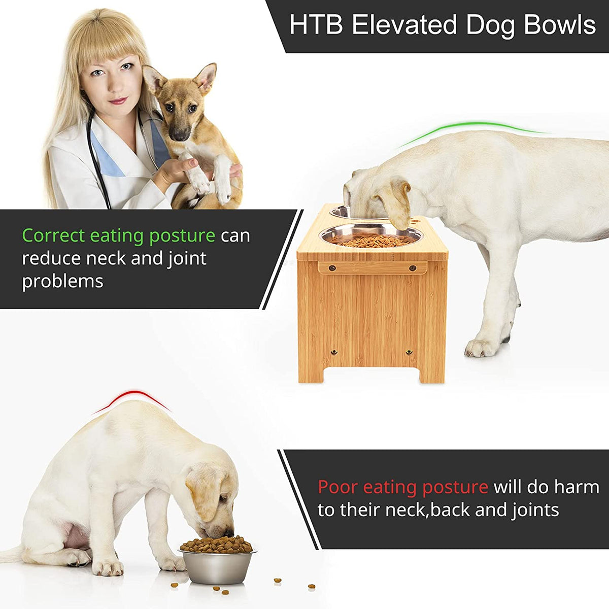 Elevated Dog Bowl Stand with Two Stainless Steel Bowls for Large, Medium, and Small Breeds