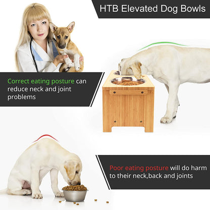 Elevated Dog Bowl Stand with Two Stainless Steel Bowls for Large, Medium, and Small Breeds