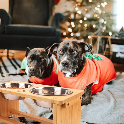 Elevated Dog Bowl Stand with Two Stainless Steel Bowls for Large, Medium, and Small Breeds